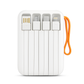 F1 10000mAhPowerBank